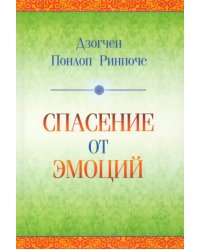 Спасение от эмоций. Как работать со своими эмоциями и трансформировать боль и смятение в энергию