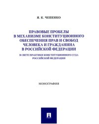 Правовые пробелы в механизме конституционного обеспечения прав и свобод человека и гражданина в РФ