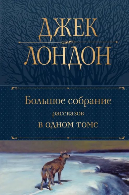 Большое собрание рассказов в одном томе