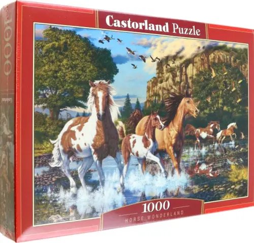 Puzzle-1000 Бегущие по воде