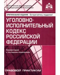 Уголовно-исполнительный кодекс Российской Федерации. Комментарий к последним изменениям