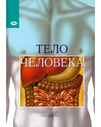 Тело человека