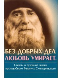 Без добрых дел любовь умирает. Советы о духовной жизни преп. Гавриила Самтаврийского