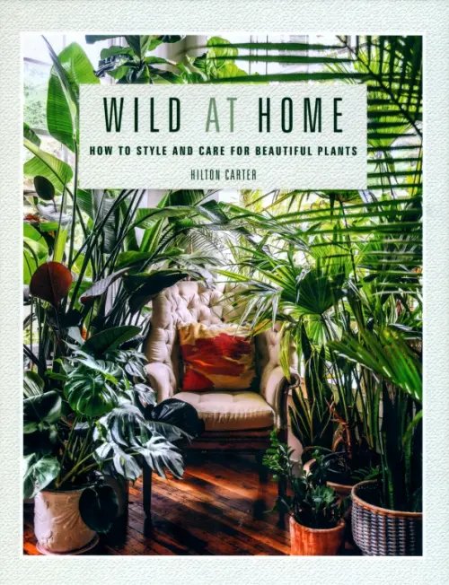 Wild at Home. How to Style and Care for Beautiful Plants