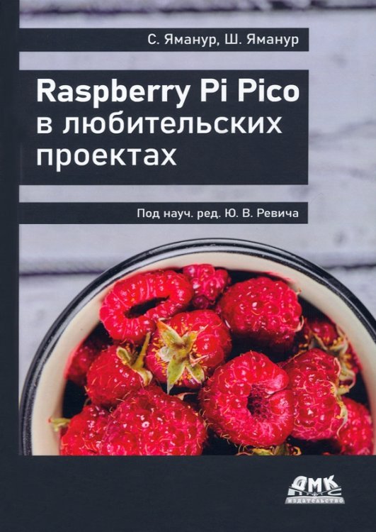 Raspberry Pi Pico в любительских проектах