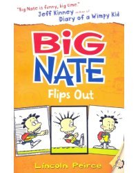 Big Nate Flips Out