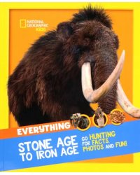 Stone Age to Iron Age