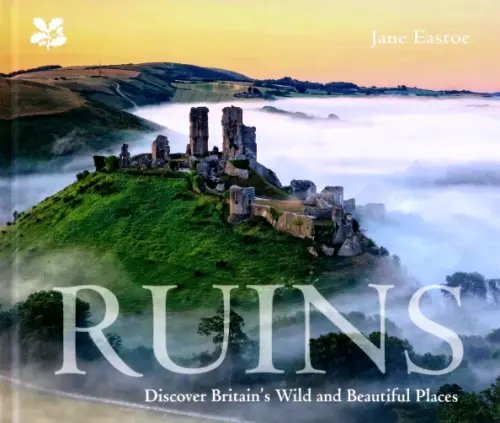 Ruins. Discover Britain's Wild and Beautiful Places