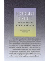 Новый Завет Господа нашего Иисуса Христа в Синодальном переводе, с ударениями