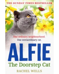 Alfie the Doorstep Cat