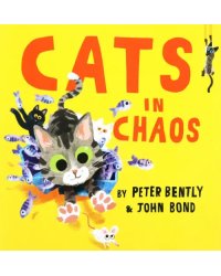 Cats in Chaos