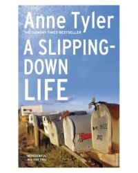 A Slipping Down Life