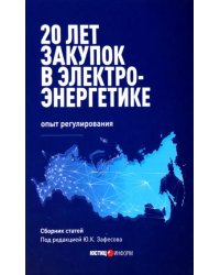 20 лет закупок в электроэнергетике. Опыт регулирования