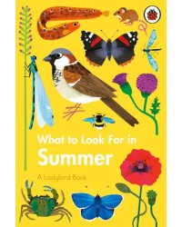 What to Look For in Summer