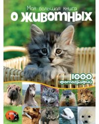 Моя большая книга о животных. 1000 фотографий