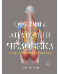 Основы анатомии человека. Наглядное руководство для художников