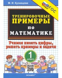 Тренировочные примеры по математике. 1 класс. Учимся писать цифры, решать примеры и задачи