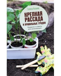 Крепкая рассада и правильные грядки. Правила и советы для начинающих