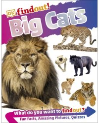 Big Cats