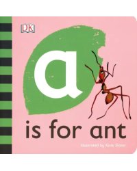 A is for Ant