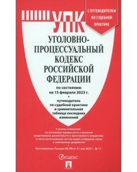 Уголовно-процессуальный кодекс РФ на 15.02.23