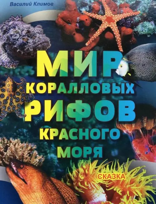 Мир коралловых рифов Красного моря