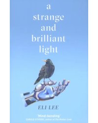 A Strange and Brilliant Light