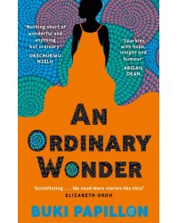 An Ordinary Wonder