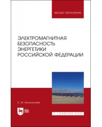 Электромагнитная безопасность энергетики Российской Федерации: Учебное пособие для вузов