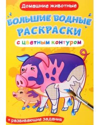 Домашние животные. Водная раскраска с цветным контуром + развивающие задания