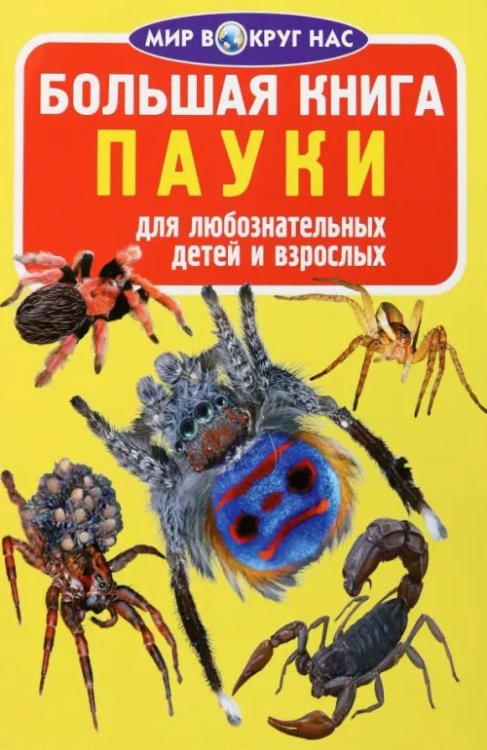 Пауки