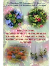 Перспективы промышленного выращивания и методы размножения лесных ягодных растений