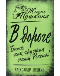 В дороге. Боже, как грустна наша Россия!