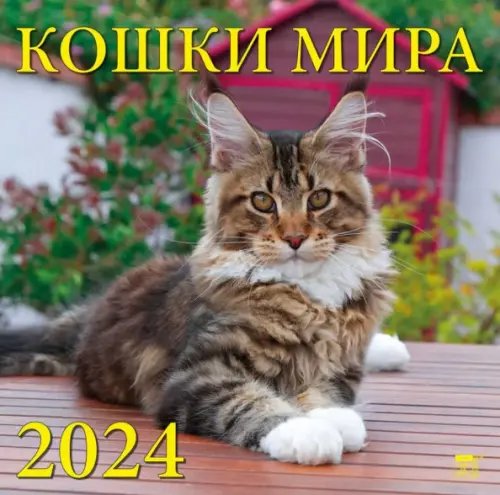 2024 Календарь Кошки мира