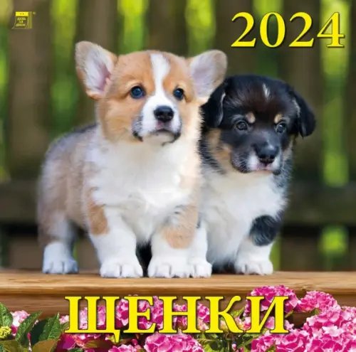 2024 Календарь Щенки