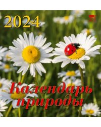 2024 Календарь природы