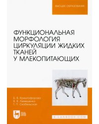 Функциональная морфология циркуляции жидких тканей у млекопитающих