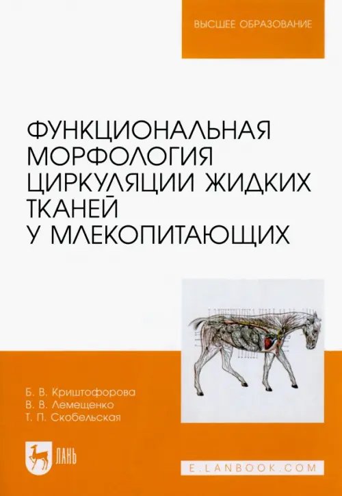 Функциональная морфология циркуляции жидких тканей у млекопитающих