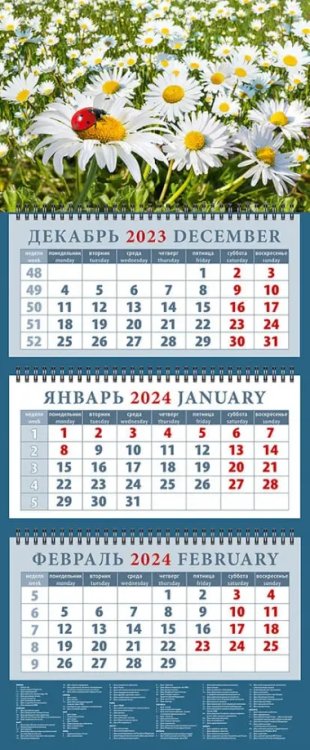 Календарь на 2024 год Ромашки и божья коровка