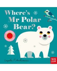 Where's Mr Polar Bear?