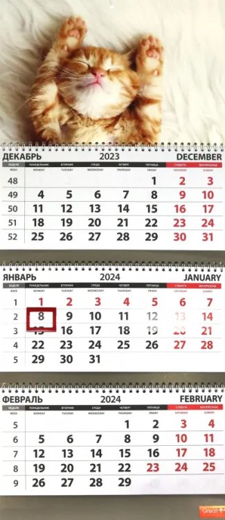 Календарь квартальный на 2024 год Котята. Сон