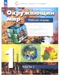 Окружающий мир. 1 класс. Рабочая тетрадь. В 2-х частях. Часть 1