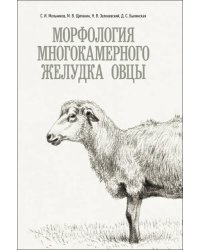 Морфология многокамерного желудка овцы. Монография