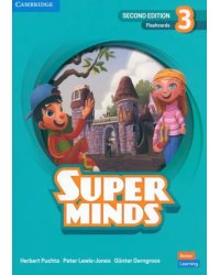 Super Minds. 2nd Edition. Level 3. Flashcards