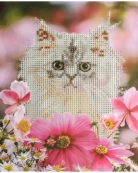 Алмазная мозаика Кот в цветах
