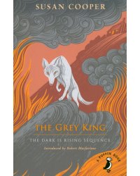 The Grey King