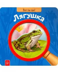 Вот ты где! Лягушка