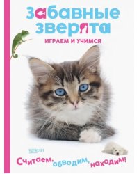 Котенок. Играем и учимся