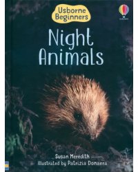 Night Animals