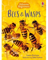 Bees and Wasps